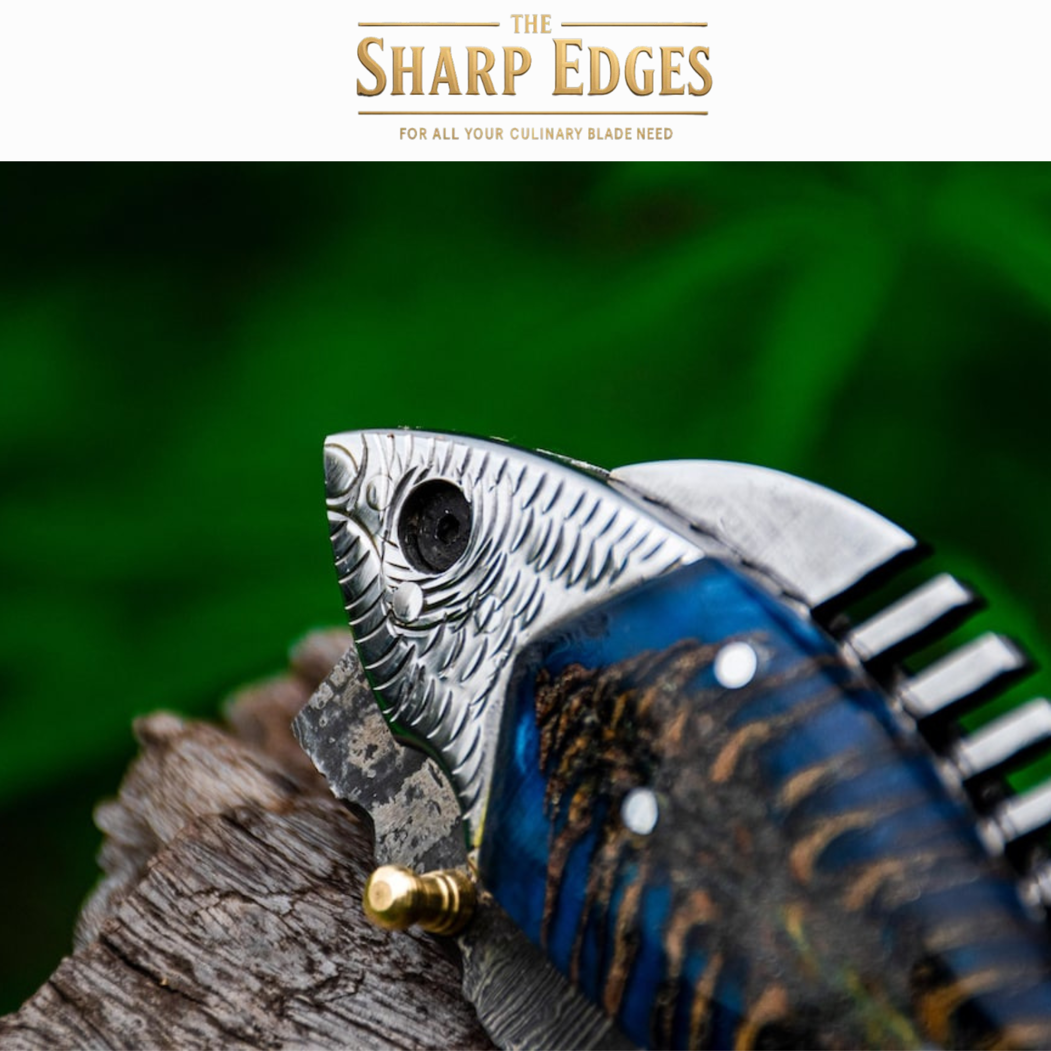 Handmade Damascus Steel Pocket Knife, Fishing Folding Knife, Camping Knife, Halloween Gift, Groomsmen Gift for Him, Personalized Gift