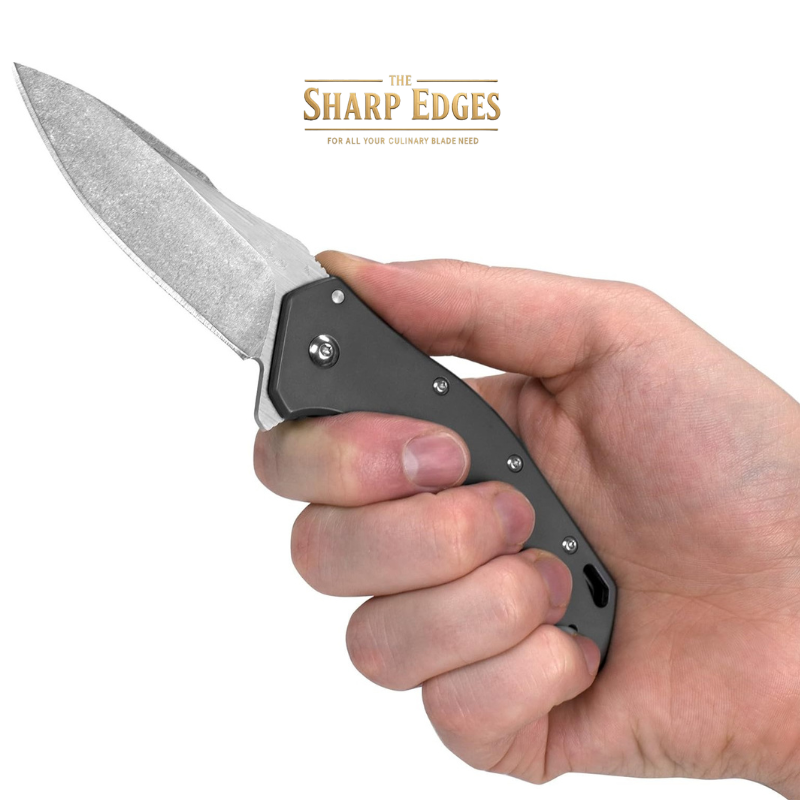 Eris 1881 Stainless Steel Folding Pocket Knife – Drop Point Blade, Gray Handle