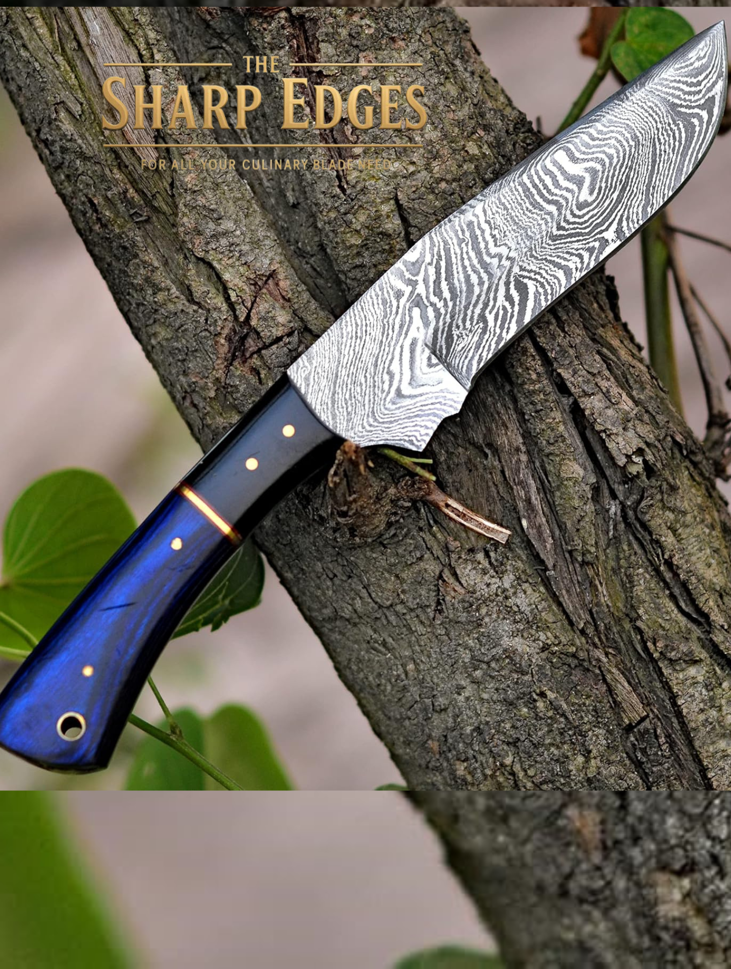 5-Piece Diamond-Hammered Damascus Knife Set, Blue Pakkawood Handle - Chef, Santoku, Paring - Leather Knife Roll - Knife Care Kit